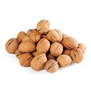 Walnut with shell